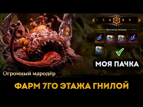 Видео: Фарм 7го Этажа Гнилой Могилы (Grave of Rot) | Моя пачка | Dragonheir: Silent Gods | Элви