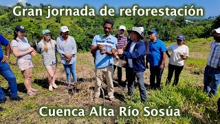 Jornada de Reforestación Cuenca Río Sosúa