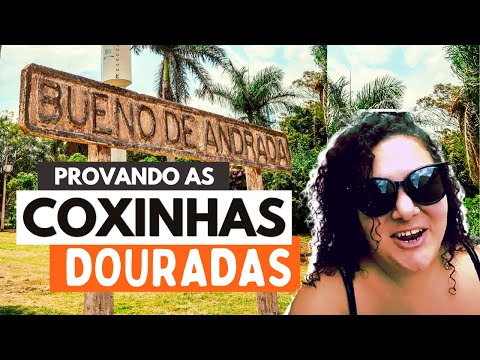 ARARAQUARA E AS COXINHAS DOURADAS DE BUENO DE ANDRADA