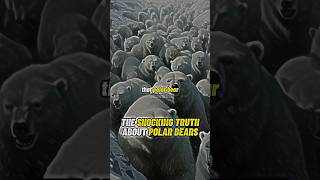 Joe Rogan: The SHOCKING Truth About Polar Bears #joerogan #polarbear