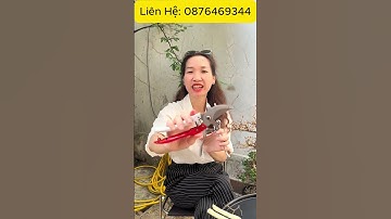 Combo 3 Kéo SK5 Cắt Tỉa Cành Cây - Hotline: 0876469344 #review #dungcucat #thinhhanh