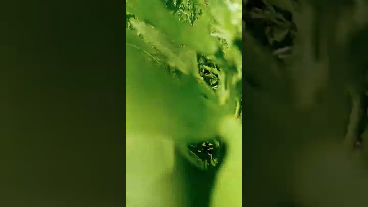 koi support kar do Bhai 