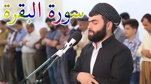 سورة البقرة | كاملة تلاوة تهتز لها القلوب للقارئ بيشةوا قادر الكردى | Surat Al Baqara