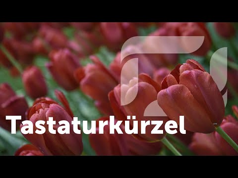 Tastaturkürzel