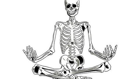 CẤU TẠO VÀ CHỨC NĂNG CỦA CƠ THỂ : HỆ TIẾT NIỆU