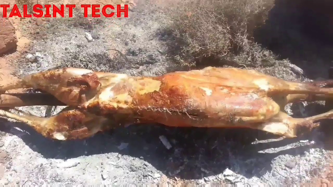 الأكلة المعروفة عند قبائل بوشاون تالسينت الحزء الأول شاهد الفيديو ولاتنسى الإشتراك في القناة