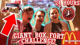 24 Hours Overnight in a Giant McDonalds Box Fort Challenge!