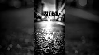 Murat Göğebakan Vurgunum