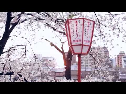 Ue o Muite Arukou - Japan
