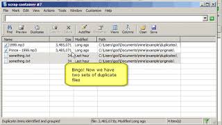 discover duplicates
