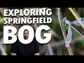Exploring Springfield Bog a Summit County Metropark