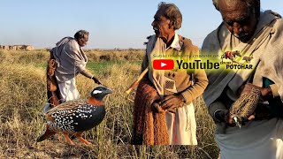 Quail and Partridge Hunting | Teetar aur Batair ka Shikar | Hunting with Dog & Net | Kirak Jall Dog