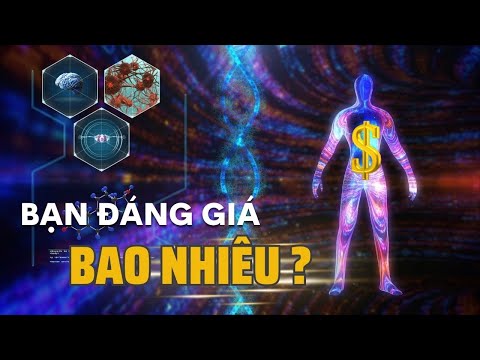 Video: 19 trong số những kỷ niệm thú cưng chính hãng nhất