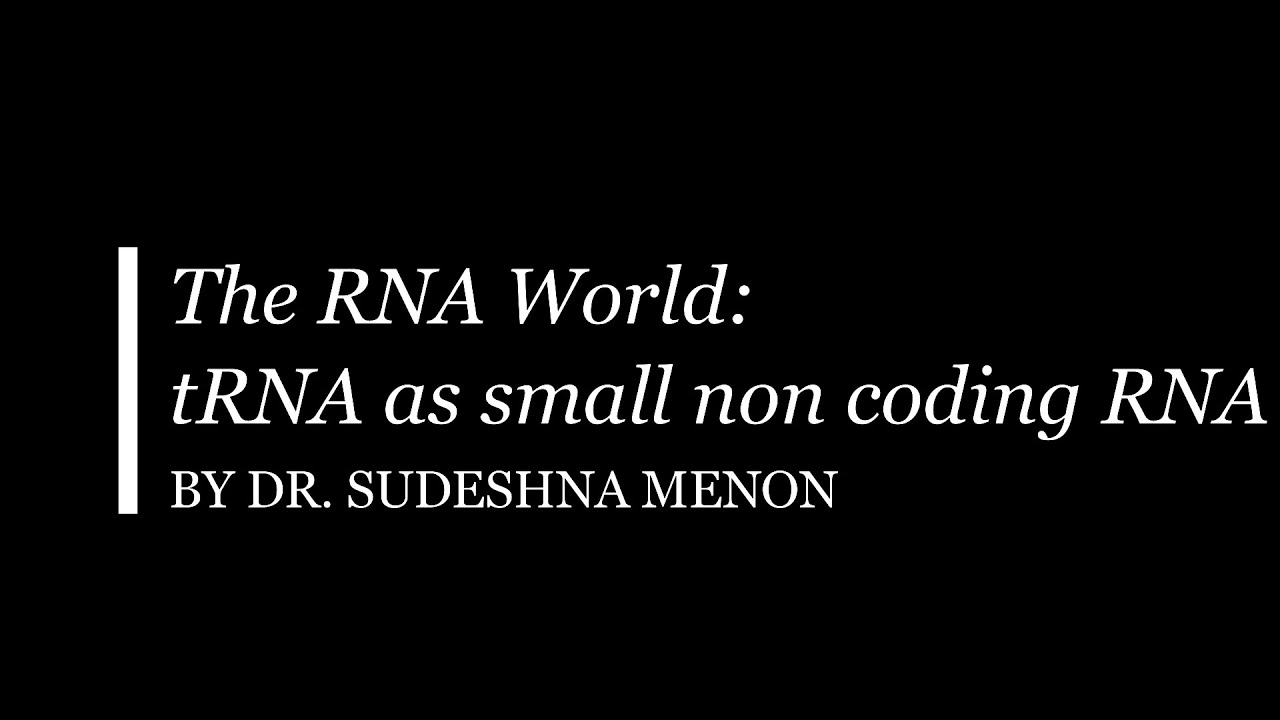 The RNA World Transfer RNA as small non coding RNA - YouTube