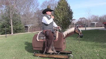 Look In The Direction YouTravel  - Steve Lantvit Horseman