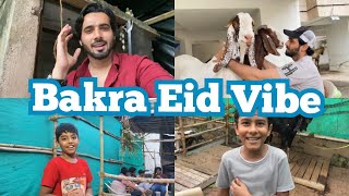 Bakra EID vibe😍 EID2021 |Goats|Shezaan Shaikh| Goats 2021