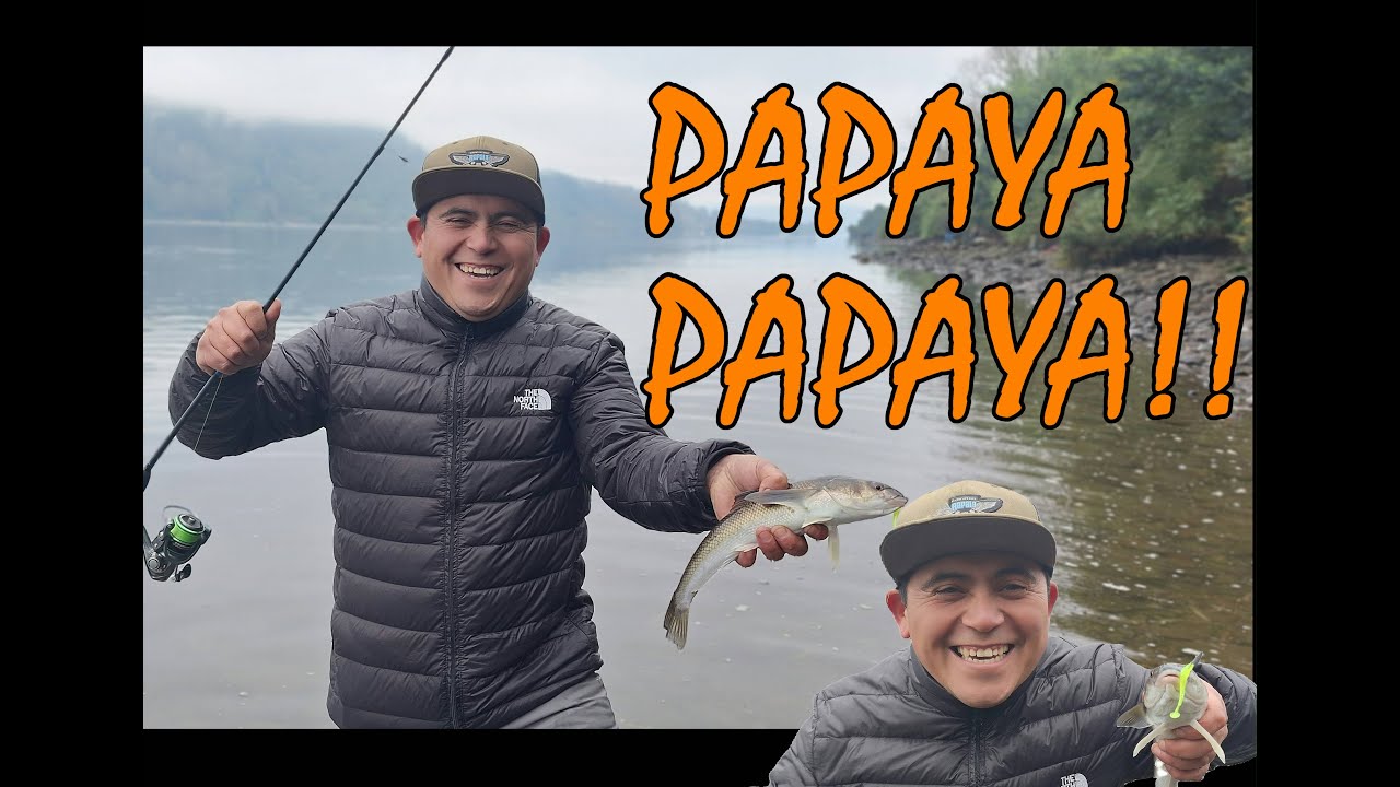 PAPAYA, PAPAYA!! #pescaderobalo #pescaultralight