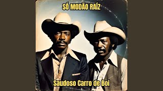 A Viola Sem Cordas e a Mão Cansada (Modão Raiz)