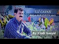 علي كافان مشا فان زريا 2003 Elî Gavan Meşa Van Zeriya 