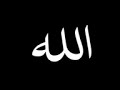 وردوا على نهر الحياة وكلهم شربوا حضرة شاذلية صوفية