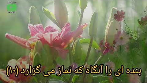 سوره العلق با ترجمه فارسی Surah Al #Quran #Islam |Alaq