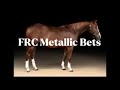 Lot #3 FRC Metallic Bets-  River College Production Horse Sale 2026