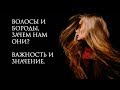 ВОЛОСЫ И  БОРОДЫ,  ЗАЧЕМ НАМ ОНИ?ВАЖНОСТЬ И ЗНАЧЕНИЕ.