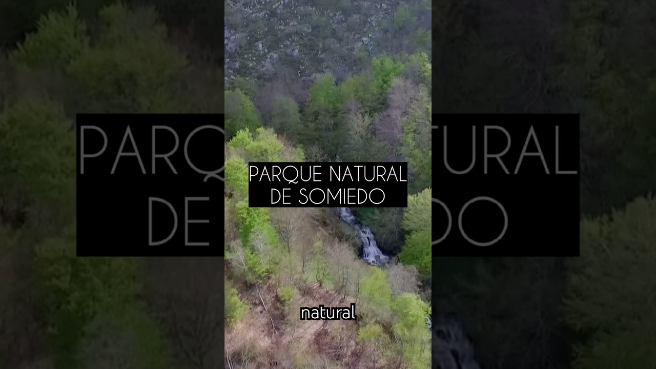 🐻🌿 Un rincón de España donde la naturaleza sigue siendo la protagonista.