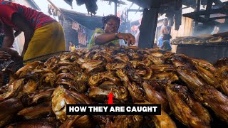Fishing in Africa's Biggest Floating Slum - Makoko Lagos Nigeria