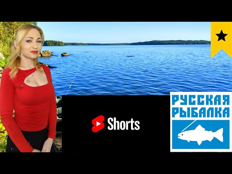 Видео: Отдыхаем на рыбалочке. Стрим с вебкой! Shorts РР4 стрим.