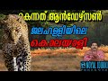 ജാലഹള്ളിയിലെ കൊലയാളി|Kenneth Anderson Malayalam|Nia tv|Nia wildlife|Noyal idukki|Hunting story|