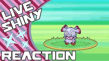 Live! Shiny Snubbull at a chain of 40!