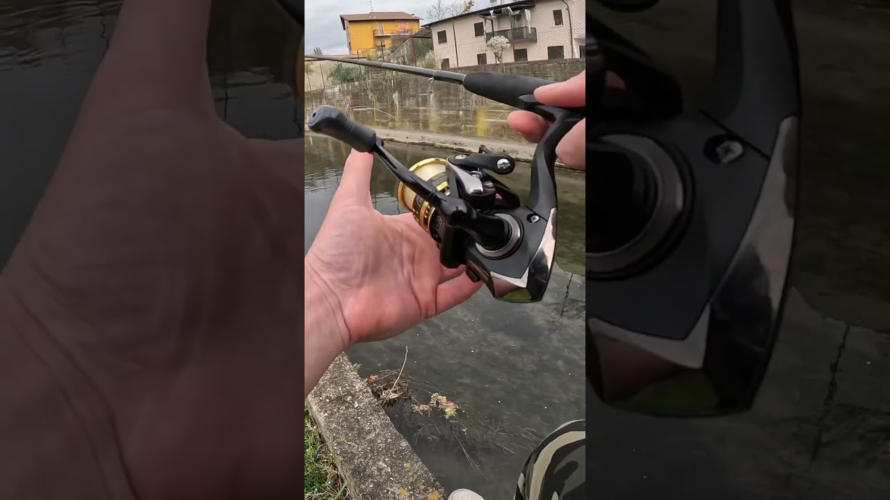 Come Sbagliate Due Cavedani in Due Lanci | Spinning al Cavedano con Rotante 