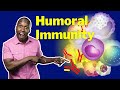 Understanding B-Cell Activation and Humoral Response
