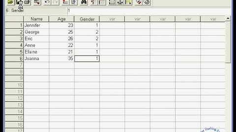 02 - Create Datasets from Scratch in SPSS 11.5