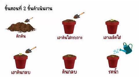 กิจกรรม Unplugged Coding (วิทยาการคำนวณ) ระดับปฐมวัย       เรื่อง รักษ์สิ่งแวดล้อม