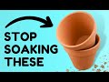 Most Useless Plant Tips You Need To Unhear