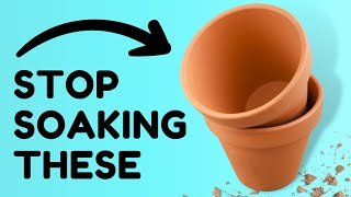 Most Useless Plant Tips You Need To Unhear