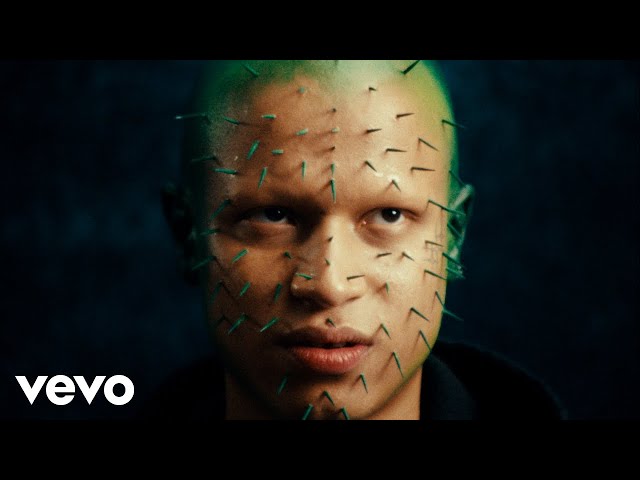 NewDad - Ladybird