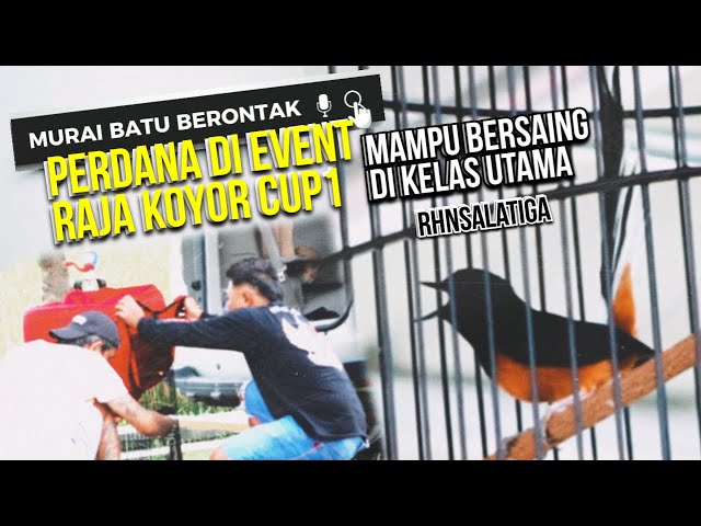 MURAI BATU BERONTAK ! PERDANA MAMPU BERSAING DI KELAS UTAMA class=