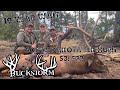 SOUTH DAKOTA ARCHERY ELK HUNT | 19 YEAR WAIT | BUCKSTORM HUNTS | S3:E2