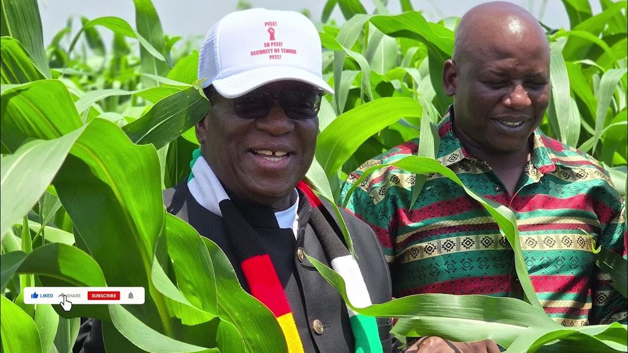 Корпус фильтра дональдсон. Kq2l06-02. Pf pt. Коробка на 23 февраля из фанеры. Коробка из фанеры 23.