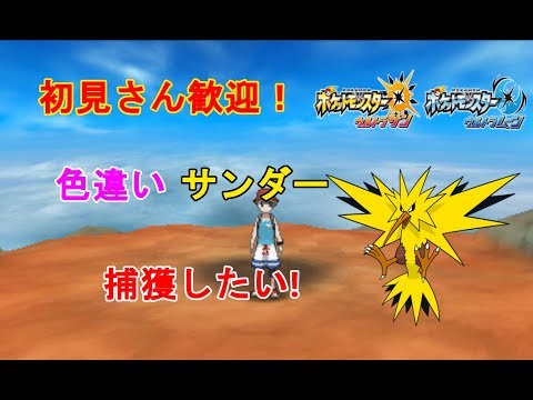 ポケモン 実況 どうしても色違いサンダーが欲しい男 Usum Youtube