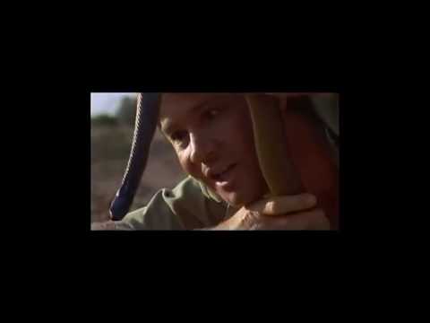 Steve Irwin The Crocodile Hunter's Greatest Moments