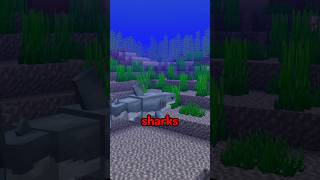 Why Minecraft will never have sharks