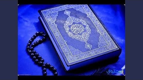 عامر الكاظمي سورة الحجرات