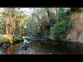 Late season fly fishing  steavenson river