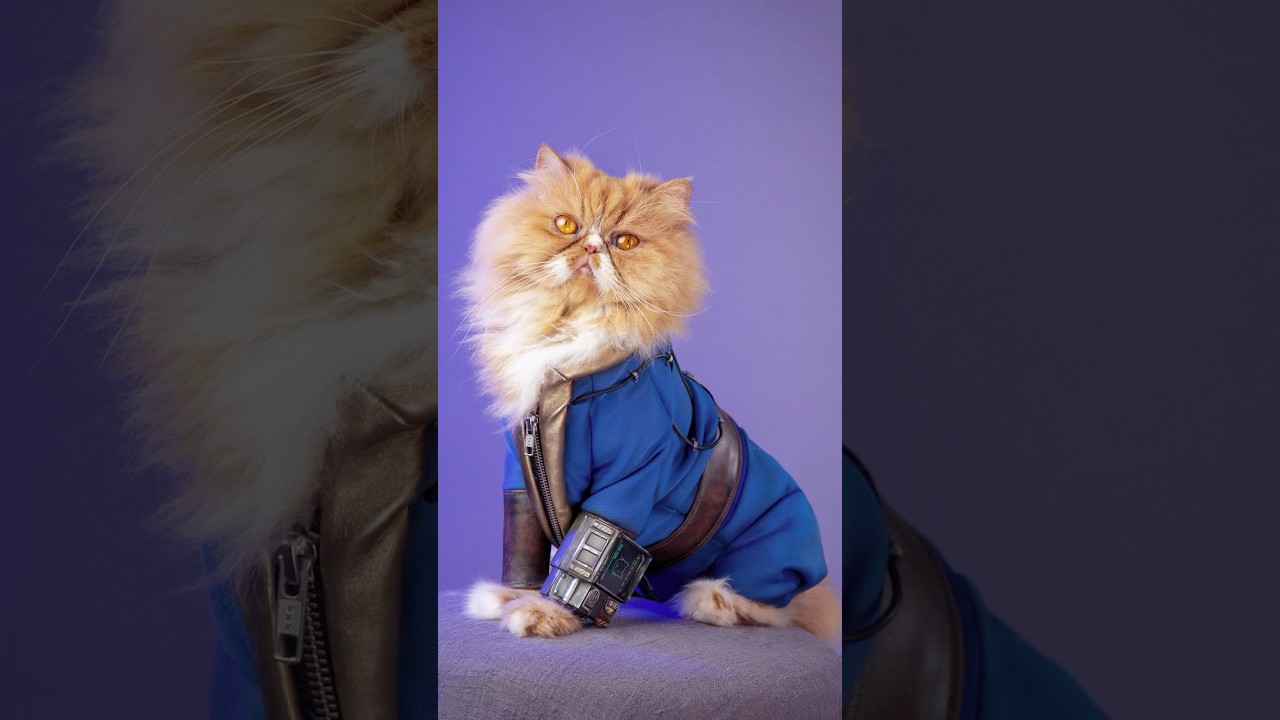 Having pets in Fallout 76 💙💛 #falloutcosplay