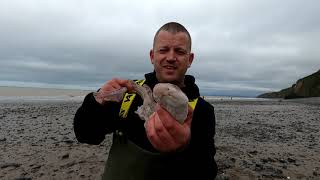 FISHING for BULLHUSS Cei Bach beach West wales