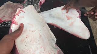 MASSIVE STINGRAY!!! (Catch Clean Cook) Authentic Recipe Pt 1